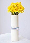 NARCISSUS GOLDEN DAWN  WRAPPED IN CARD ON WHITE TABLE - STYLING BY JACKY HOBBS
