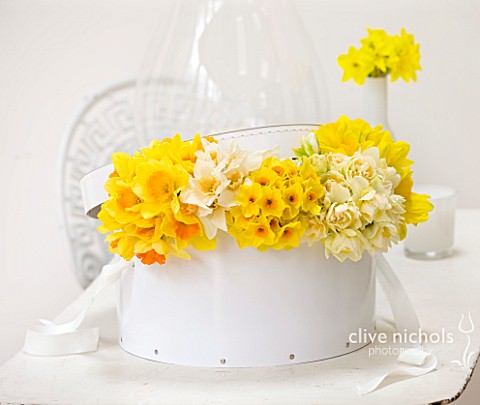 NARCISSUS_IN_WHITE_HAT_BOX_ON_WHITE_TABLE__STYLING_BY_JACKY_HOBBS
