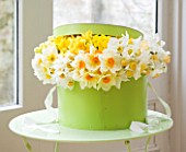 STYLING BY JACKY HOBBS  - GREEN HAT BOX FILLED WITH NARCISSUS  DAFFODILS  SPRING