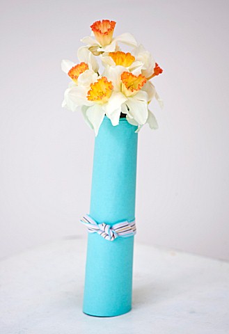 NARCISSUS_CAMILLA__WRAPPED_IN_BLUE_CARD__STYLING_BY_JACKY_HOBBS