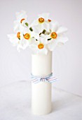 NARCISSUS ACTAEA  WRAPPED IN WHITE CARD - STYLING BY JACKY HOBBS