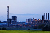 TEESSIDE  UNITED KINGDOM - PETROCHEMICAL WORKS AT DUSK SEEN FROM FIELD OF RAPESEED - INDUSTRY  OIL INDUSTRY  INDUSTRIAL  HEAVY INDUSTRY