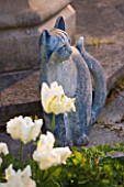 CERNEY HOUSE GARDEN  GLOUCESTERSHIRE: CAT SCULPTURE BESIDE WHITE TULIPS