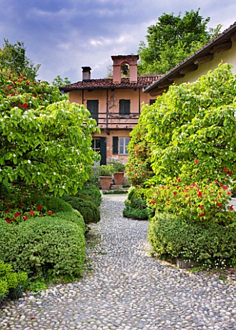 GARDEN_OF_PAOLO_PEJRONE__ITALY_VIEW_OF_THE_FRONT_COURTYARD_WITH_COBBLES__ROSA_SANGUINEA_AND_QUINCE