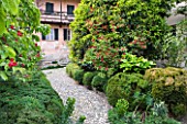 GARDEN OF PAOLO PEJRONE  ITALY: VIEW OF THE FRONT COURTYARD WITH COBBLES  ROSA SANGUINEA AND QUINCE