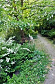 GARDEN OF PAOLO PEJRONE  ITALY: WHITE BENCH BESIDE WHITE PLANTING OF  DEUTZIA GRACILIS AND DAVIDIA INVOLUCRATA (HANDKERCHIEF TREE  DOVE TREE  GHOST TREE)