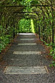 LE JARDIN DALCHIMISTE  PROVENCE  FRANCE: DESAIGNERS ARNAUD MAURIERES AND ERIC OSSART - BLACK GRAVEL PATH THROUGH HORNBEAM TUNNEL IN THE BLACK SQUARE