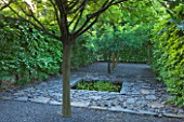 LE JARDIN DALCHIMISTE  PROVENCE  FRANCE: DESAIGNERS ARNAUD MAURIERES AND ERIC OSSART - BLACK SLATE PATH AND BLACK REFLECTING POOL THROUGH HORNBEAM TUNNEL IN THE BLACK SQUARE