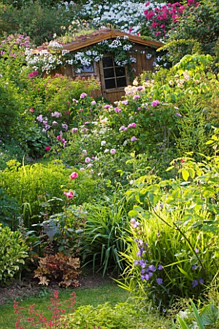 ANDRE_EVE_GARDEN__FRANCE__VIEW_TO_THE_SHED_WITH_A_LIVING_ROOF