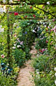ANDRE EVE GARDEN  FRANCE - ROSE COVERED PERGOLA AND PATH - ROSES - CHEVY CHASE  MOZART   GRUSS AN AACHEN AND OFFRANVILLE