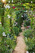 ANDRE EVE GARDEN  FRANCE - ROSE COVERED PERGOLA AND PATH
