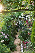ANDRE EVE GARDEN  FRANCE - ROSE COVERED PERGOLA AND PATH