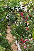 ANDRE EVE GARDEN  FRANCE - ROSE PERGOLA WITH PATH EDGED WITH BIRCH