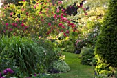 ANDRE EVE GARDEN  FRANCE - GRASS PATH SURROUNDED BY ROSA CERISE BOUQUET