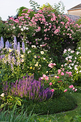 ANDRE_EVE_GARDEN__FRANCE__DELPHINIUMS_AND_ROSE_SUZON