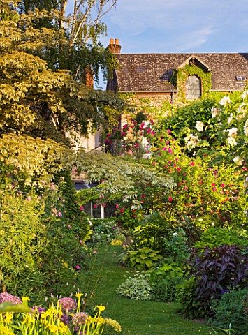 ANDRE_EVE_GARDEN__FRANCE__VIEW_BACK_TO_THE_HOUSE_WITH_CORNUS_CONTROVERSA_VARIEGATA_AND_ROSA_CERISE_B