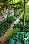 ANDRE EVE GARDEN  FRANCE - HOSTA ABIQUA DRINKING GOURD BENEATH A PERGOLA WITH PATH