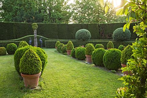 LES_CONFINES__PROVENCE__FRANCE__DESIGNER_DOMINIQUE_LAFOURCADE_FORMAL_GARDEN_OF_CLIPPED_EVERGREENS_IN