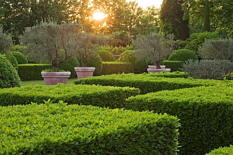 LES_CONFINES__PROVENCE__FRANCE__DESIGNER_DOMINIQUE_LAFOURCADE__EVENING_LIGHT_ON_CLIPPED_HEDGING_AND_