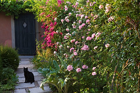 LES_CONFINES__PROVENCE__FRANCE__DESIGNER_DOMINIQUE_LAFOURCADE__BLACK_CAT_ON_PATH_WITH_ROSES_AND_DOOR