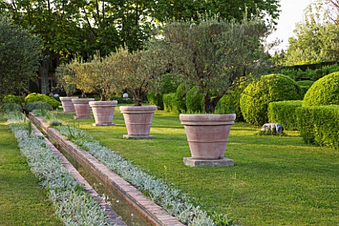 LES_CONFINES__PROVENCE__FRANCE__DESIGNER_DOMINIQUE_LAFOURCADE__RILL_SURROUNDED_BY_STACHYS_LANATA_AND