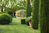 LES CONFINES  PROVENCE  FRANCE - DESIGNER: DOMINIQUE LAFOURCADE - CLIPPED CYPRESSES - CUPRESSUS SEMPERVIRENS AND TERRACOTTA CONTAINERS WITH OPUTIA CACTUS AND OLIVE TREES