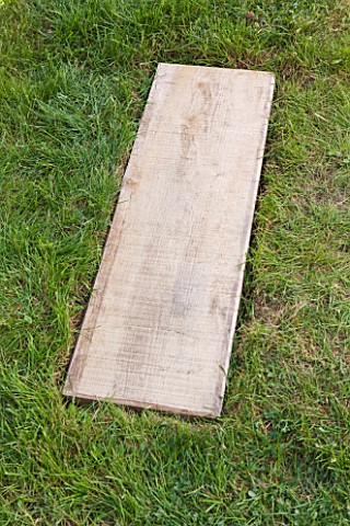 DECKING_PROJECT__DESIGNER_CLARE_MATTHEWS__WOODEN_BOARD_USED_AS_A_STEPPING_STONE
