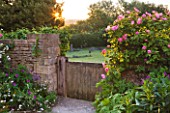 ASTHALL MANOR  OXFORDSHIRE: ROSES BY THE GATE TO ASTHALL CHURCH  AT DAWN