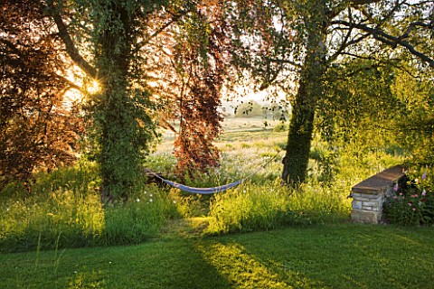 ASTHALL_MANOR__OXFORDSHIRE_HAMMOCK_IN_THE_PERENNIAL_WILDFLOWER_MEADOW
