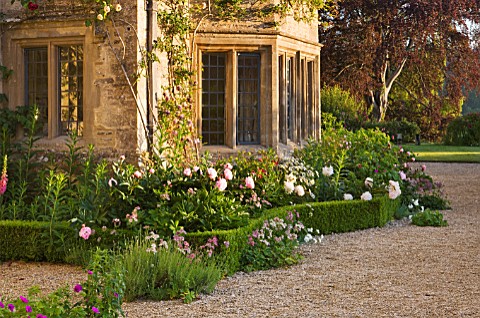 ASTHALL_MANOR__OXFORDSHIRE_BOX_HEDGING_AND_PEONIES_AROUND_THE_FRONT_OF_THE_HOUSE