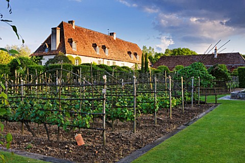 PRIEURE_NOTREDAME_DORSAN__FRANCE_THE_PRIORY_WITH_VINEYARD_IN_THE_CLOISTER_OF_GREENERY