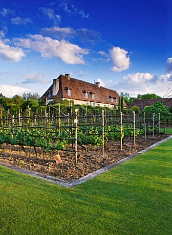 PRIEURE_NOTREDAME_DORSAN__FRANCE_VINEYARD_IN_FRONT_OF_THE_PRIORY