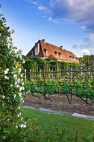 PRIEURE_NOTREDAME_DORSAN__FRANCE_VINEYARD_IN_FRONT_OF_THE_PRIORY