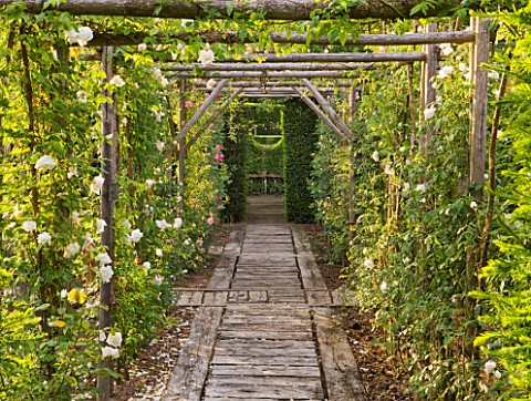 PRIEURE_NOTREDAME_DORSAN__FRANCE_WOODEN_PERGOLA_AND_PATH_WITH_WHITE_ROSES