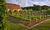 PRIEURE NOTRE-DAME DORSAN  FRANCE: THE PRIORY WITH VINEYARD IN THE FOREGROUND