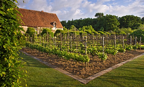 PRIEURE_NOTREDAME_DORSAN__FRANCE_THE_PRIORY_WITH_VINEYARD_IN_THE_FOREGROUND