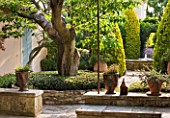 DESIGNER MICHEL SEMINI  PROVENCE  FRANCE: MAS THEO - TREE WITH LOW STONE WALL IN COURTYARD - TERRACOTTA CONTAINERS AND FOUNTAIN IN THE BACKGROUND