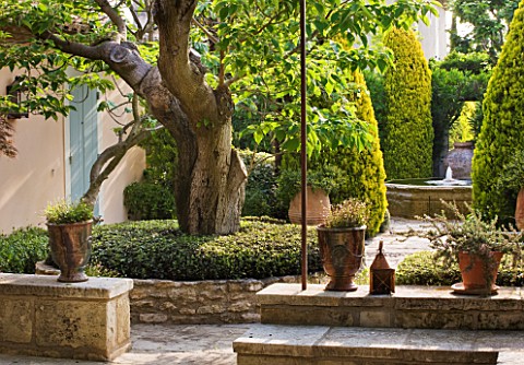 DESIGNER_MICHEL_SEMINI__PROVENCE__FRANCE_MAS_THEO__TREE_WITH_LOW_STONE_WALL_IN_COURTYARD__TERRACOTTA