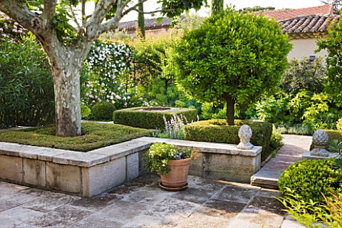 DESIGNER_MICHEL_SEMINI__PROVENCE__FRANCE_MAS_THEO__COURTYARD_WITH_TREES_AND_LOW_LEVEL_WALLS