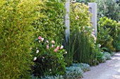 DESIGNER DOMINIQUE LAFOURCADE  PROVENCE  FRANCE: PIERRE DE RONSARD ROSES AND BAMBOOS ALONG THE DRIVEWAY WITH CONCRETE PILLARS AND TRACHELOSPERMUM JASMINOIDES