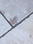 DESIGNER: CLARE MATTHEWS  DEVON - PAVING PROJECT - DETAIL OF PAVING SHOWING MORTAR APPLIED TO CRACKS WITH A POINTING IRON THEN BRUSHED CLEAN AN HOUR AFTERWARDS