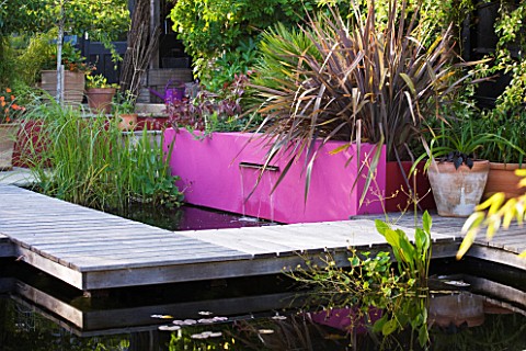 BARBARA_KENNINGTON_GARDEN__BRIGHTON_POOL_WITH_RENDERED_PINK_PAINTED_WALL__FOUNTAIN_AND_PHORMIUM