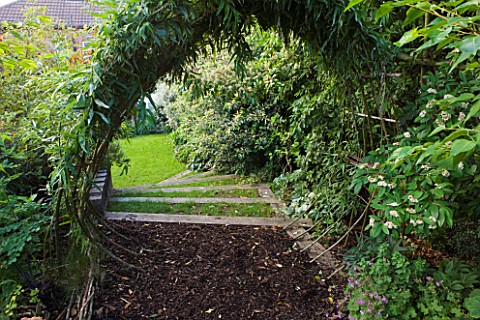 BARBARA_KENNINGTON_GARDEN__BRIGHTON_LIVING_WILLOW_CIRCLE_LEADING_FROM_THE_WOODLAND_ONTO_THE_LAWN