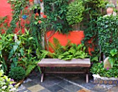 KARLA NEWELL GARDEN  BRIGHTON: SMALL TOWN GARDEN WITH WOODEN SEAT  FERNS AND SLATE TILED FLOOR  INSET WITH PEBBLES - ORANGE/RED PAINTED WALL