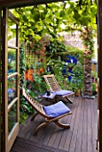 KARLA NEWELL GARDEN  BRIGHTON: VIEW OUT OF HOUSE TO TERRACE IN SMALL TOWN GARDEN WITH ORANGE WALL  DECK CHAIRS WITH BLUE CUSHIONS  FUCHSIA  PYRACANTHA  DECKING