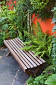 KARLA NEWELL GARDEN  BRIGHTON: SMALL TOWN GARDEN - COURTYARD WITH WOODEN BENCH  ORANGE PAINTED WALL AND FERNS