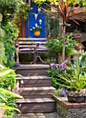 KARLA NEWELL GARDEN  BRIGHTON: SMALL TOWN GARDEN - BLUE RENDERED WALL   WOODEN STEPS LEADING UP TO PATIO