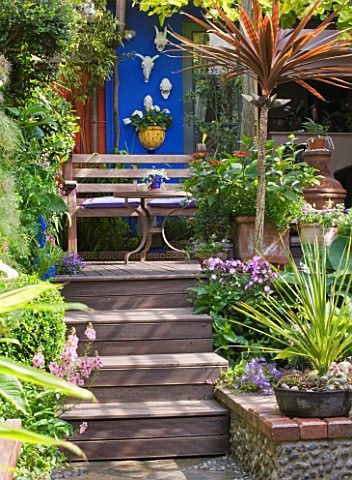 KARLA_NEWELL_GARDEN__BRIGHTON_SMALL_TOWN_GARDEN__BLUE_RENDERED_WALL___WOODEN_STEPS_LEADING_UP_TO_PAT