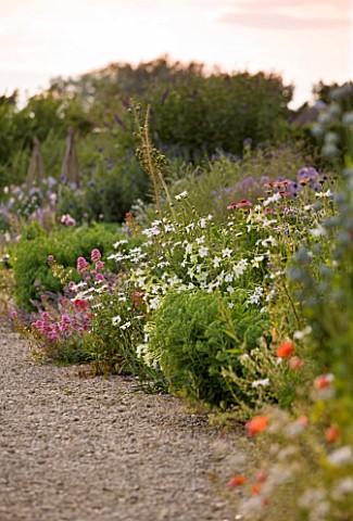 WHATLEY_MANOR__WILTSHIRE_HERBACEOUS_BORDER_BESIDE_THE_FOUNTAIN_TERRACE__LATE_SUMMER__SUNSET
