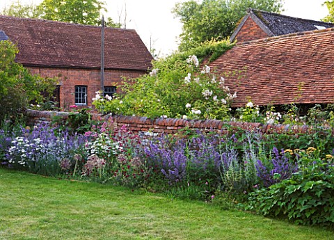 HOOK_END_FARM__BERKSHIRE_NEPETA_AND_ALLIUMS_DOMINATE_A_BORDER_BESIDE_A_WALL_WITH_FRAM_BUILDINGS_BEHI
